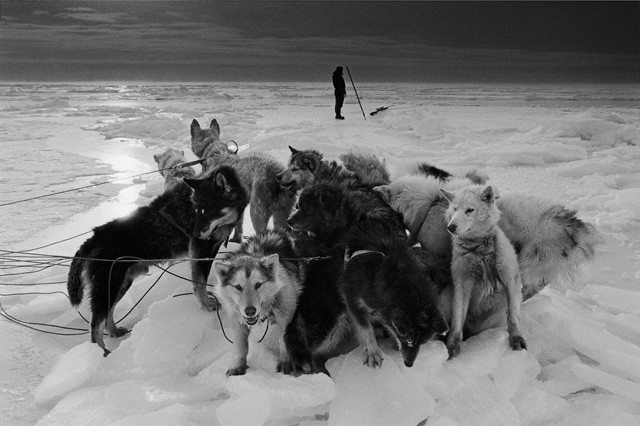 Рагнар Аксельссон. "Последние дни Арктики"(1985—2010)