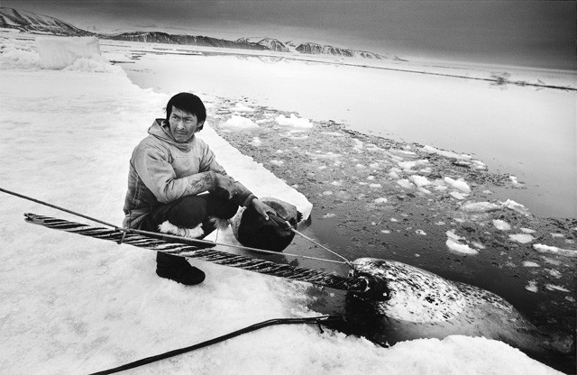 Рагнар Аксельссон. "Последние дни Арктики"(1985—2010)
