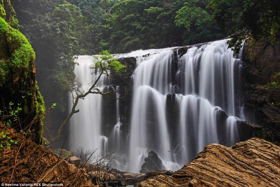 4 Многочисленные водопады затеряны в густых джунглях Западных Гат в штате Карнатака.
