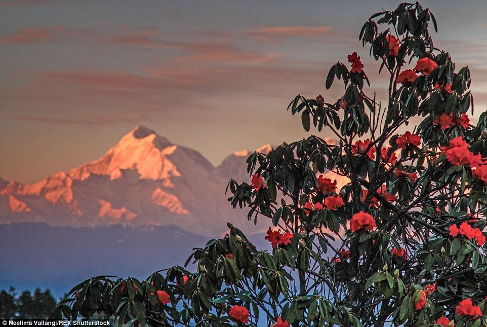 14 В штате Уттаракханд вам откроются потрясающие виды на горные хребты Гималаев.