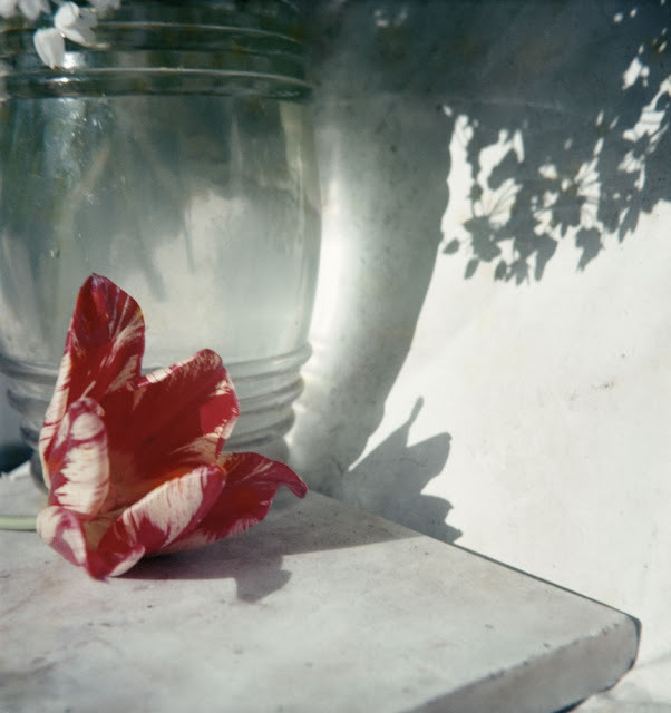 Удивительно яркие ретро-снимки Жака-Анри Лартига