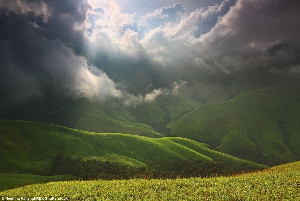 19 Поросшие сочной зеленью холмы в Национальном парке Кудеремука в штате Карнатака.