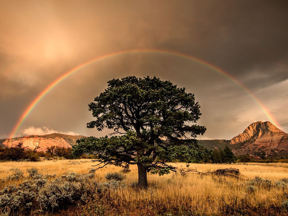 3 "Буря". Автор - RJ Hooper. Национальный парк в штате Юта (США).