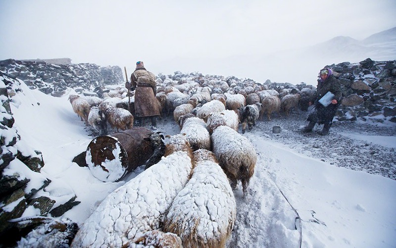 18 Автор - Tariq Sawyer. Алтайские горы. Монголия.