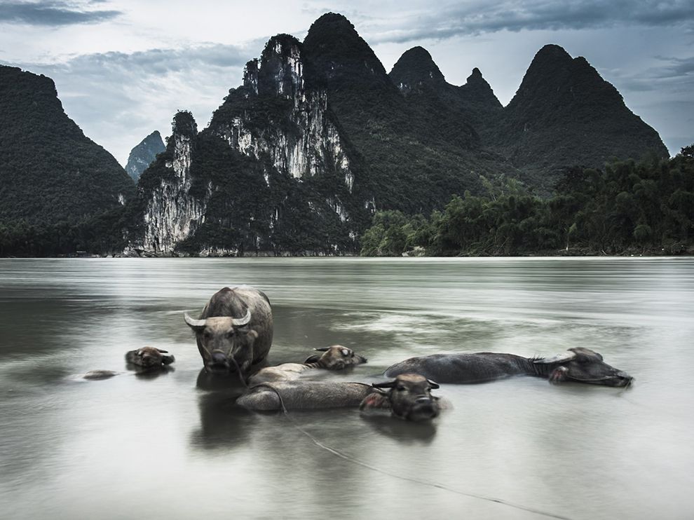 6 "В декорациях". Автор - Andrew Gemmell. Река Ли в Китае.
