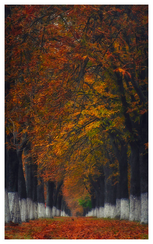 1 «Autumn "Dojo"». Автор - DzjuSan.