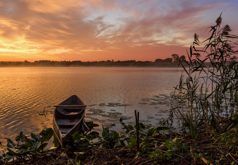 Ранок на озері Author: Зоя та Олександр