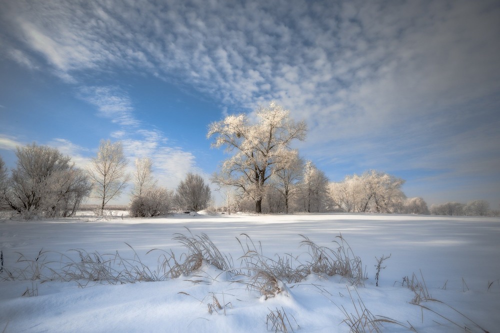 Засніжене поле Author: Ігор Солодовніков