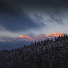 Memories of hard day's night