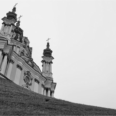 про ворону