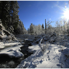 Зима, леса нарядила в снега, запрятала речку в сугробы.