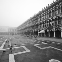 Lonely San Marco - 2