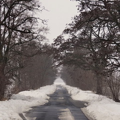 Дорога на Мизинівку