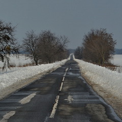 Дорога на Журжинці