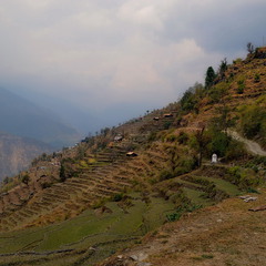 Непальскими шляхами