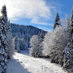 Зимова Болгарія