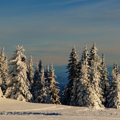 Зима в Болгарії