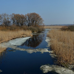 Річка Лисогор