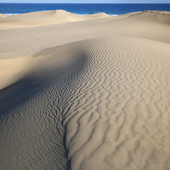 песчаные волны