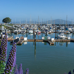 Гавань Сан-Франциско / San Francisco Yacht Harbor