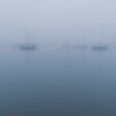 Ранковий туман у Морро Бей / Foggy morning in Morro Bay, California