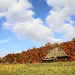 Осенний ноктюрн
