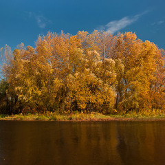 Осенний островок