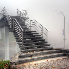 Туманным утром 27 октября 2008 г.