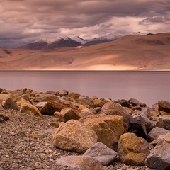На озере Тсо-Морири. Тибет, северная Индия