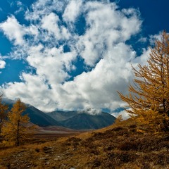 Осень на севере Монголии