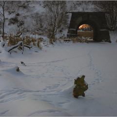 Про танці зайців на снігу