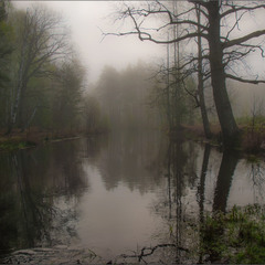 Клаптик весняної річки Бобер в легкому тумані...