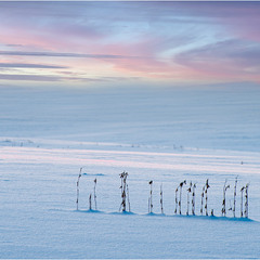Морозний ранок на планеті Земля.