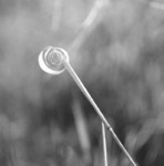 Time loop...