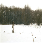 Фото години