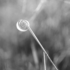 Time loop...