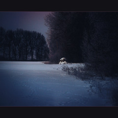 Вечори на хуторі...