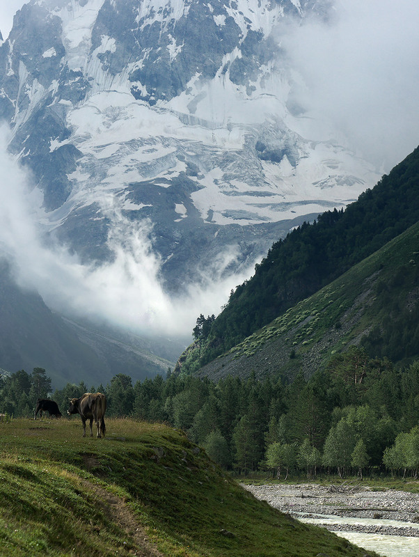 горы гиф. долина хуф. горы. живой гор. живая гора.