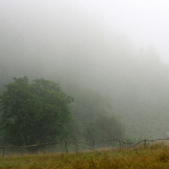 Ранковий туман