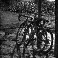 О зиме, о любви и велосипедах.