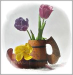 Сонце в дерев'яній тиші