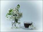 Коли була весна
