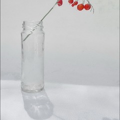 Краплі осені. Мінімалізм.