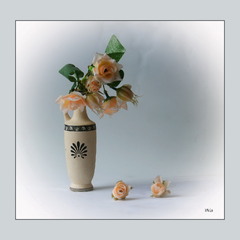 Ніжність у півтонах