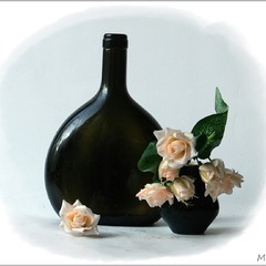 Ніжність у темному склі