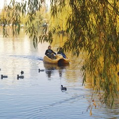 Осіння ідиллія