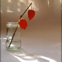 Пауза світла. Мінімалізм.