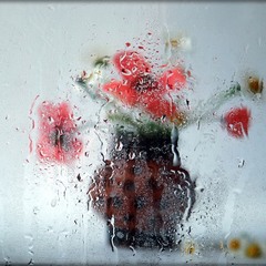 Розмиті спогади