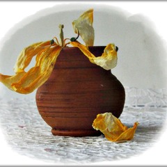 І навіть в'янення - це краса...