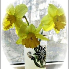 Сонячний драйв